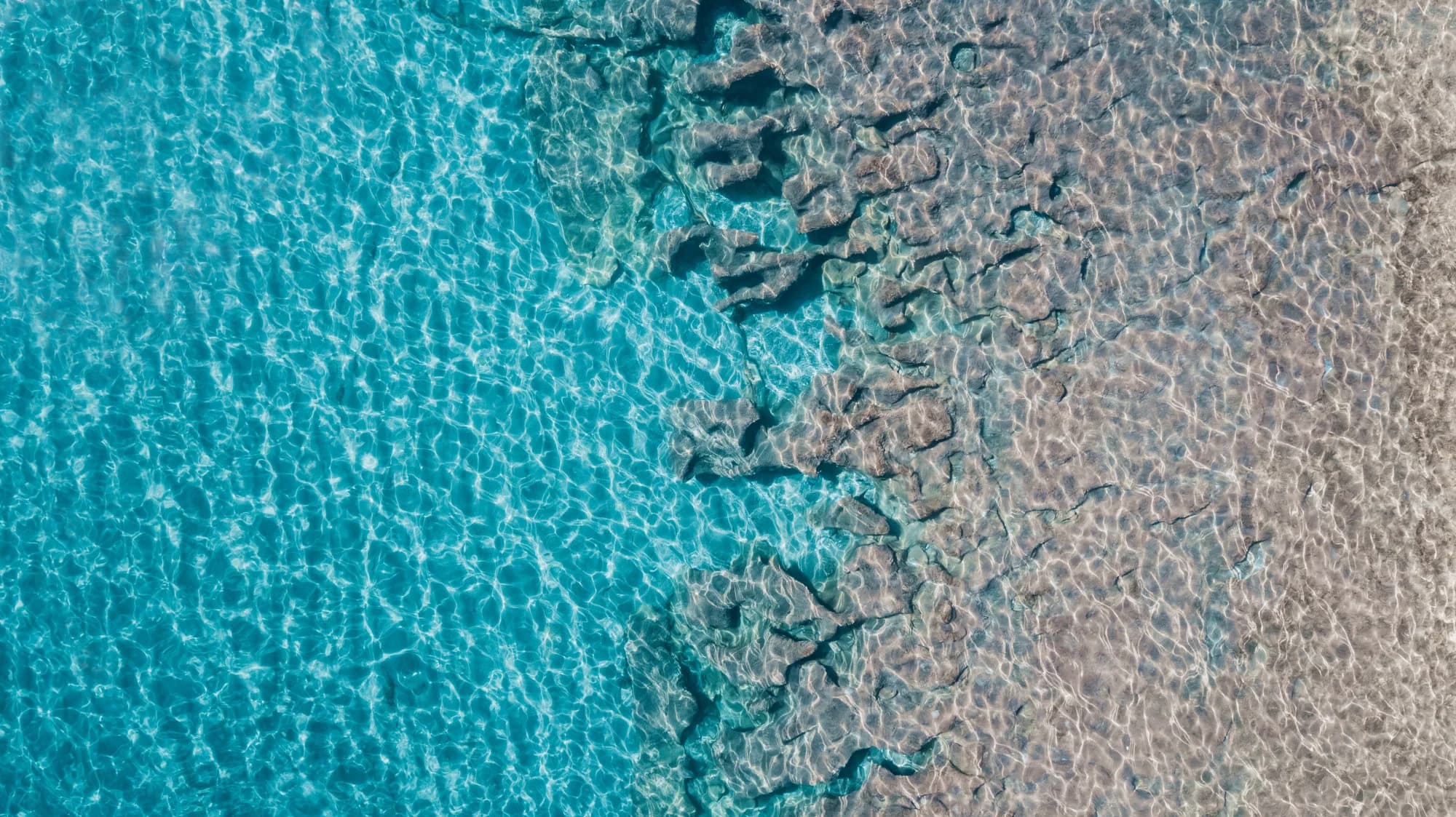 Description of image